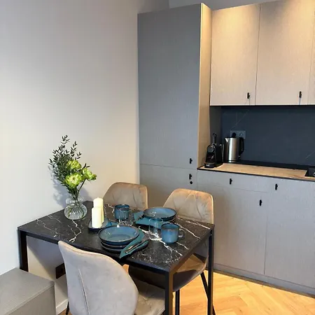 Apartment Nemunas Center Druskininkai